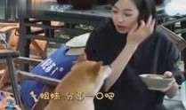 娱乐八卦视频哪里看